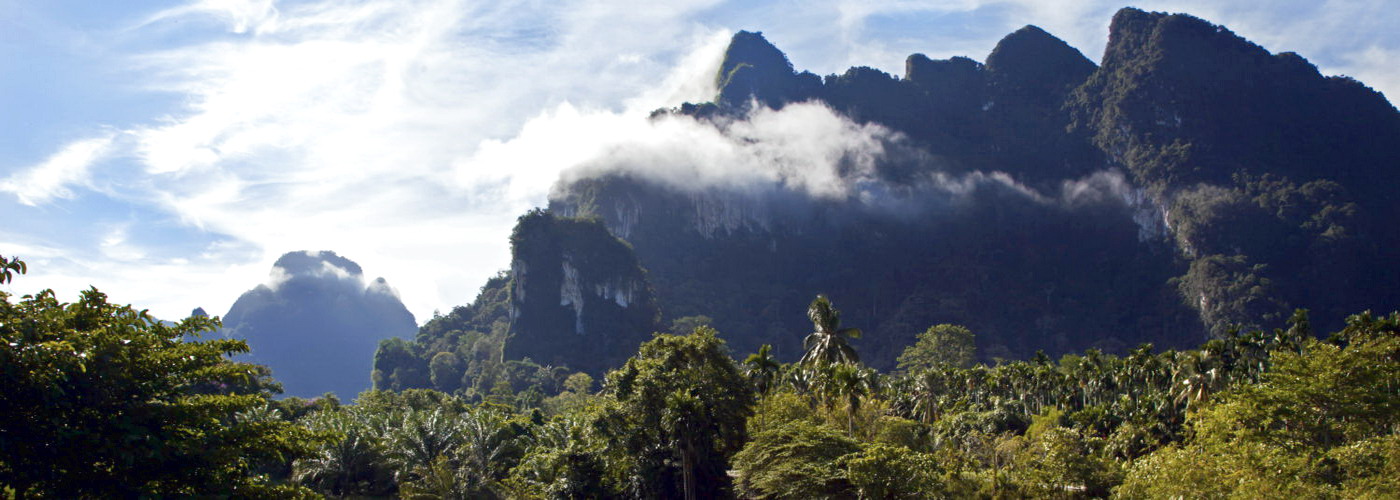 Discover the Natural Beauty of One of The World’s Oldest Evergreen Rainforests
