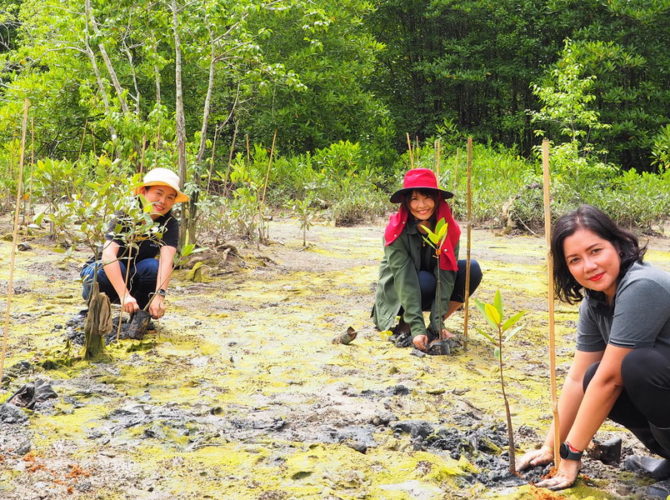 sarojin staff plant mangrove trees when a new booking is made